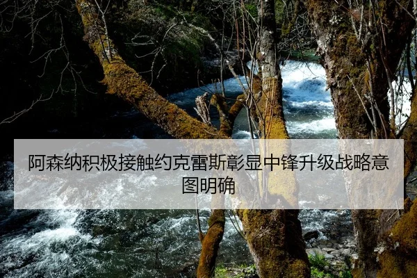 阿森纳积极接触约克雷斯彰显中锋升级战略意图明确