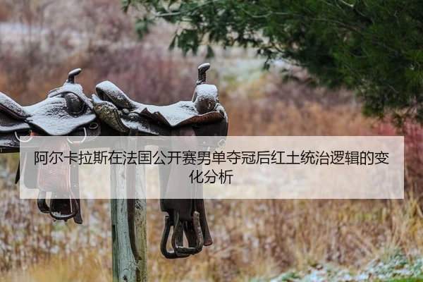 a-er-ka-la-si-zai-fa-guo-gong-kai-sai-nan-dan-duo-guan-hou-hong-tu-tong-zhi-luo-ji-de-bian-hua-fen-xi-2-738.jpg