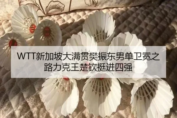 xin-jia-po-da-man-guan-fan-zhen-dong-nan-dan-wei-mian-zhi-lu-li-ke-wang-chu-qin-ting-jin-si-qiang-2-430.jpg