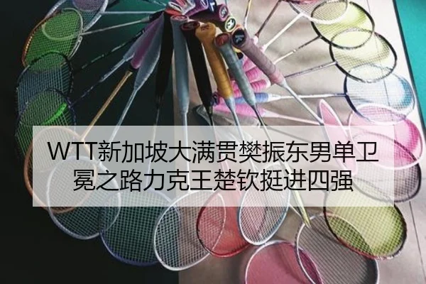 xin-jia-po-da-man-guan-fan-zhen-dong-nan-dan-wei-mian-zhi-lu-li-ke-wang-chu-qin-ting-jin-si-qiang-3-653.jpg