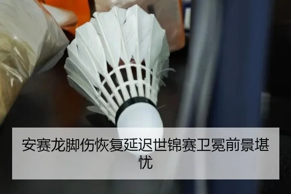 an-sai-long-jiao-shang-hui-fu-yan-chi-shi-jin-sai-wei-mian-qian-jing-kan-you-3-670.jpg