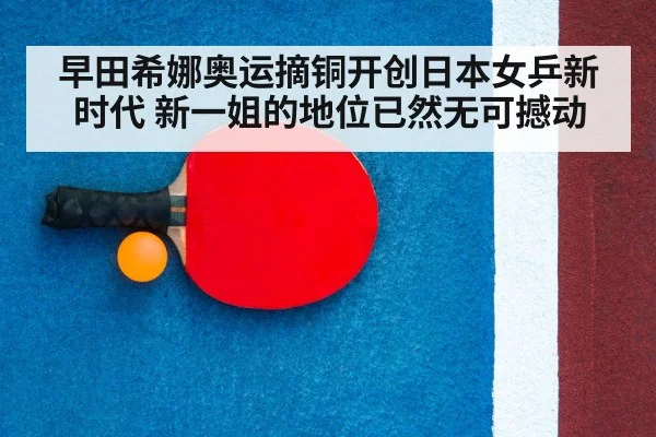 table tennis racket